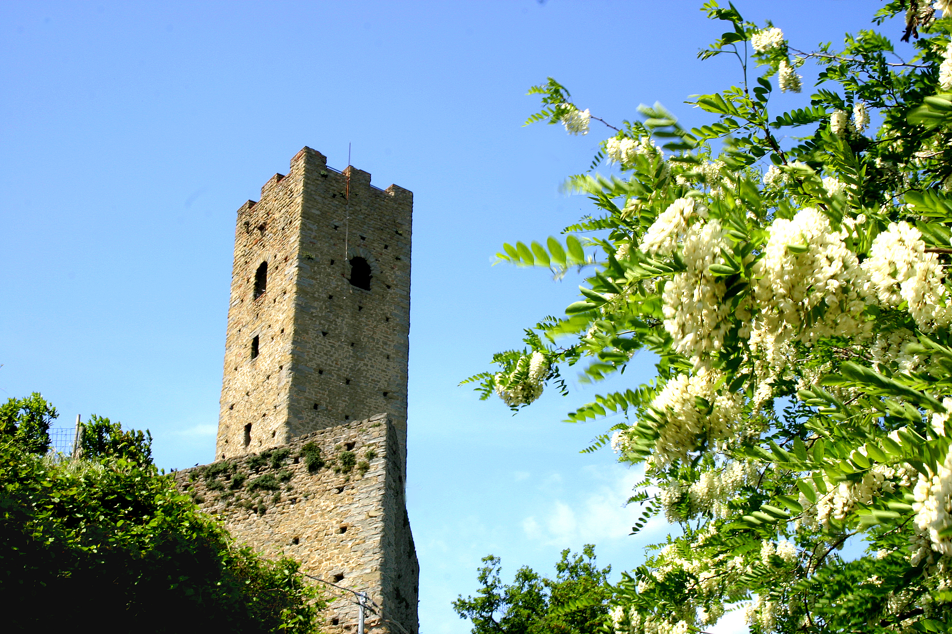 Orari del Museo civico e della Torre di Larciano Castello durante le festività